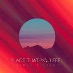 Place That You Feel (Original Mix) - Ben-E & Falki