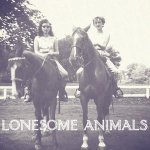Too Much To Save - Lonesome Animals