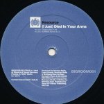 (I Just) Died In Your Arms - Resource