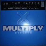 You Bring Me Joy [The Original Demo Mix] - Rhythm Factor