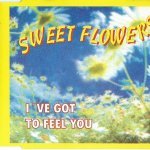 Слушать I've Got To Feel You (Radio Mix) - Sweet Flowers онлайн