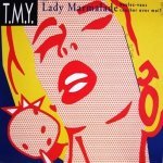 Слушать Lady Marmalade (Voulez-vous coucher avec moi?) - T.M.Y. онлайн