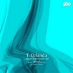 Luis' Groove ((Soliman Remix)) - (Soliman Remix) - T. Orlando