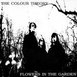 Flowers In The Garden - The Colour Theory