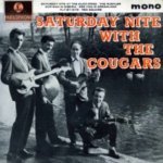 Saturday Nite at the Duck Pond - The Cougars