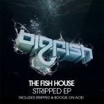 Слушать Hawk (Original Mix) - The Fish House онлайн