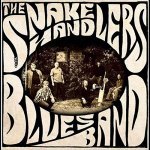 Face Down And Fallin' - The Snakehandlers Blues Band