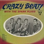 Chicken - The Spark Plugs