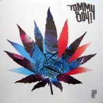 Reyna (English Version) - Tommy Boy & Llp feat. Sandra N